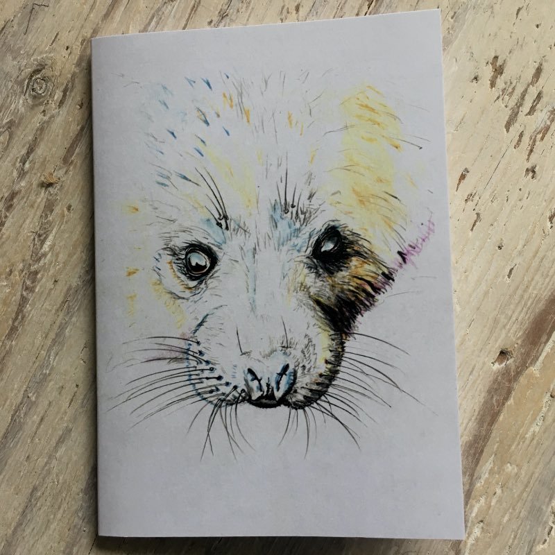 Seal Pup Pocket Notebook