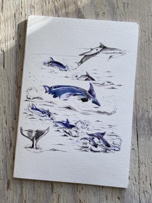 bottlenose dolphin a5 notebook