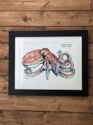 octopus art print