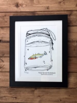 Stickleback Art Print