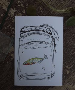 stickleback A5 notebook