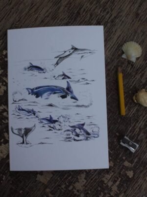 dolphins A5 notebook