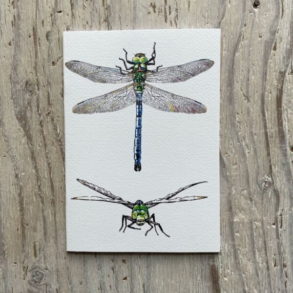 Emperor Dragonfly A5 Sketchbook