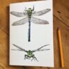 Dragonfly A5 Sketchbook