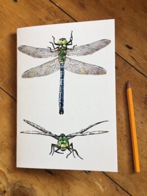 Dragonfly A5 Sketchbook