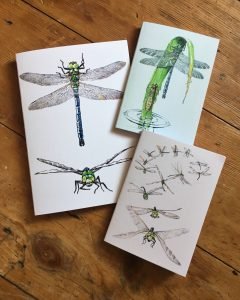 Dragonfly Notebooks