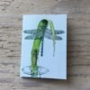dragonfly emergence pocket notebook