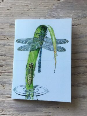 dragonfly emergence pocket notebook