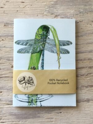 dragonfly emergence pocket notebook