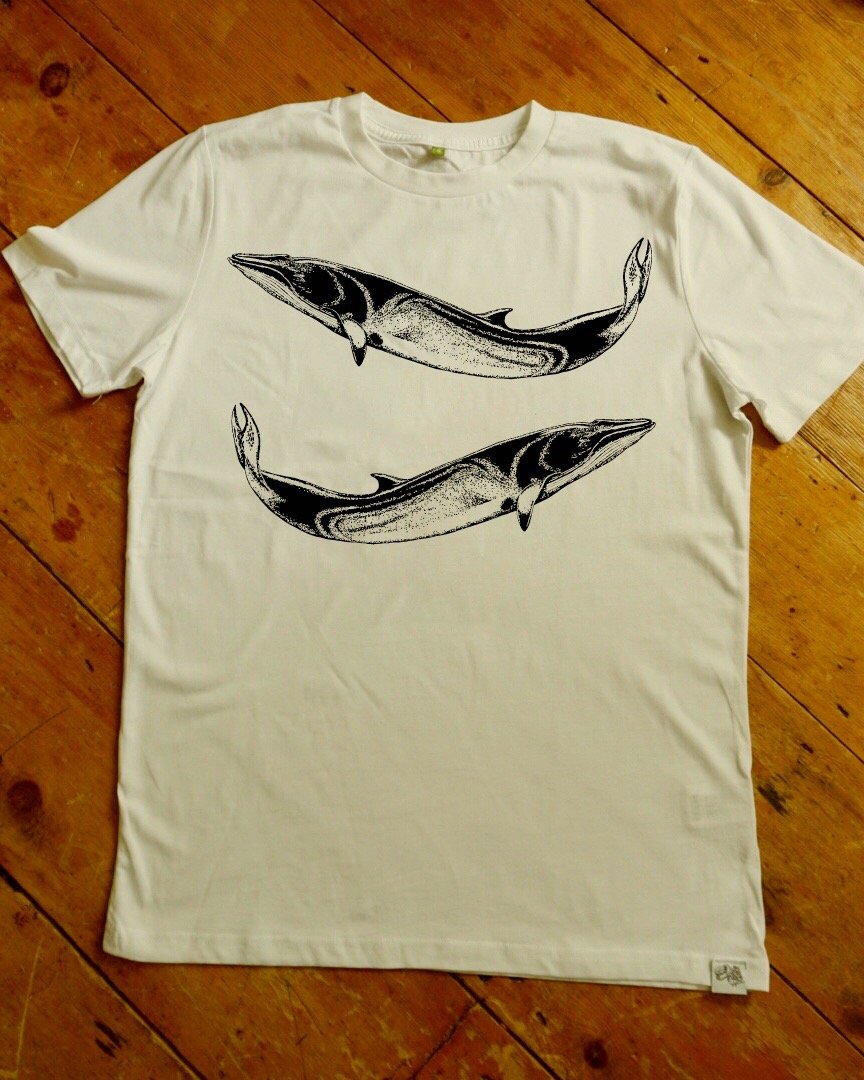 Minke Whale T-Shirt - Lifeforms Art