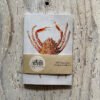 Spider Crab Pocket Notebook