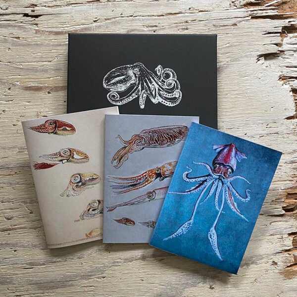 Cephalopod Pocket Notebook Gift box