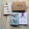 Cephalopods Pocket notebook gift set