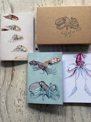 Cephalopods Pocket notebook gift set