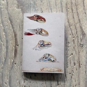 Cuttlefish Pocket Notebook
