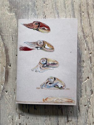 Cuttlefish Pocket Notebook