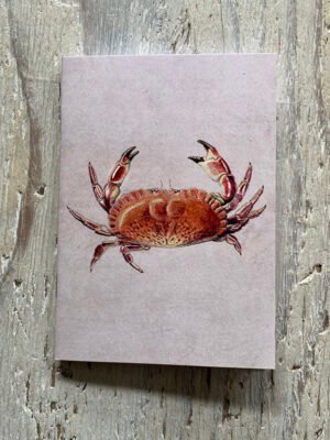 Edible crab pocket notebook