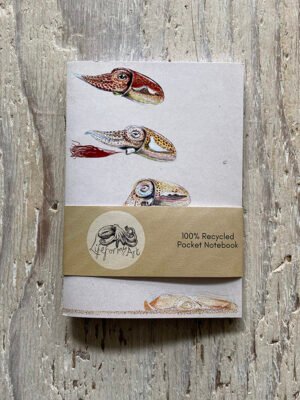 Little Atlantic Cuttlefish Pocket Notebook