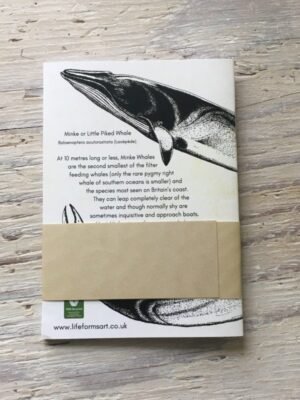 Minke whale pocket notebook