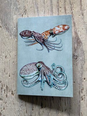 curled octopus pocket notebook
