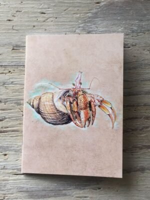 hermit crab pocket notebook
