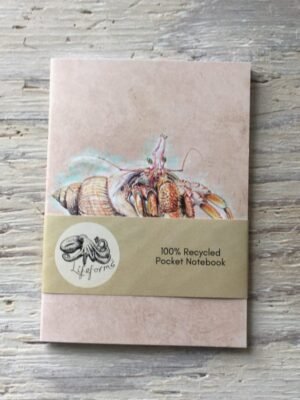 hermit crab pocket notebook