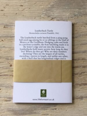 Leatherback turtle pocket notebook