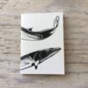 minke whale pocket notebook