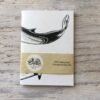 minke whale pocket notebook