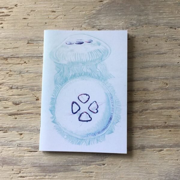 moon jellyfish pocket notebook