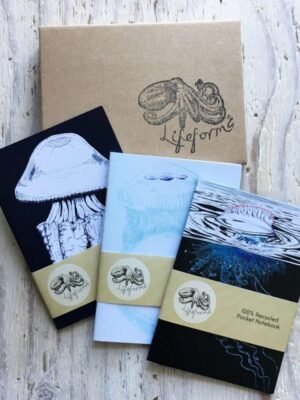 Cnidarians pocket notebook gift set