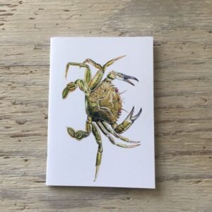 velvet swimming crab pocket notebook