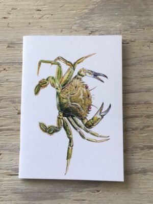 velvet swimming crab pocket notebook