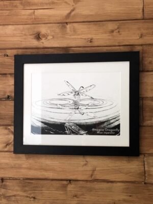 dragonfly reflection art print