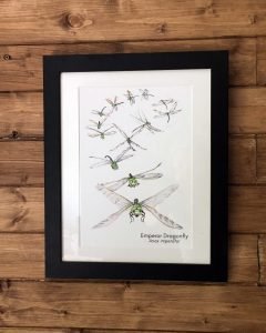 dragonfly flight art print