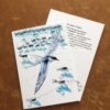 Northern Flights Art Cards