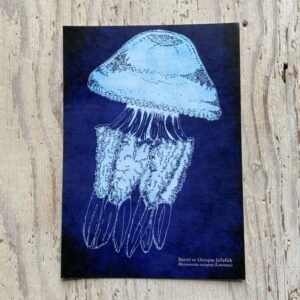 Barrel Jellyfish Art Print