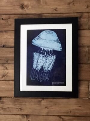 barrel jellyfish art print