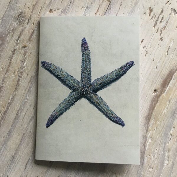 Spiny Star Pocket Notebook