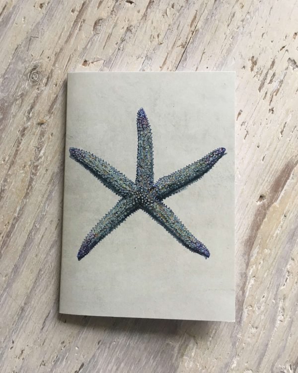 spiny starfish pocket notebook