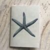 spiny starfish pocket notebook