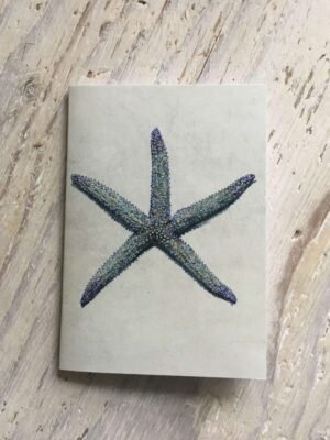 spiny starfish pocket notebook