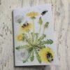 Bumblebee and Dandelion Pocket Notebook