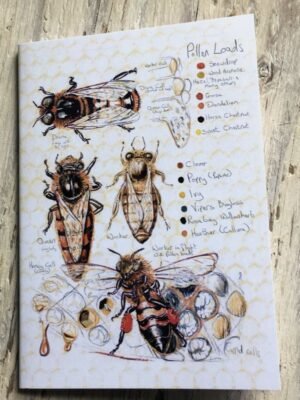 Honeybee Pocket Notebook