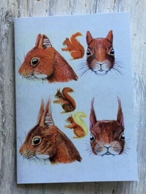Red Squirrel Face Pocket Notebook