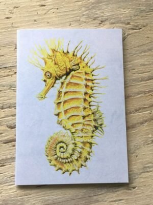 Seahorse Pocket Notebook