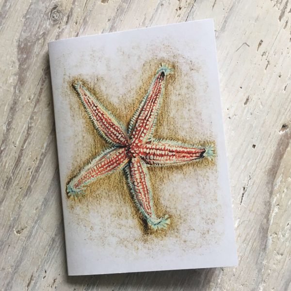 common starfish pocket notebook