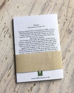 gannet pocket notebook