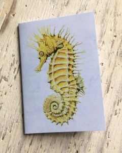 Seahorse pocket notebook