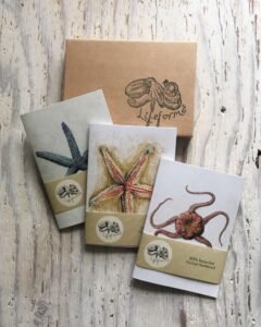 Starfish pocket notebook gift set